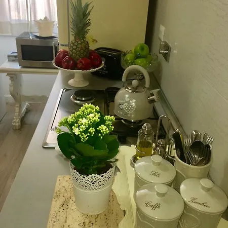 公寓 Borgo Pio 66 *